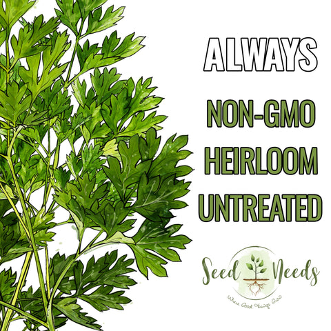 Seed Needs chervil indoor-starter showcases indoor planting for early harvest