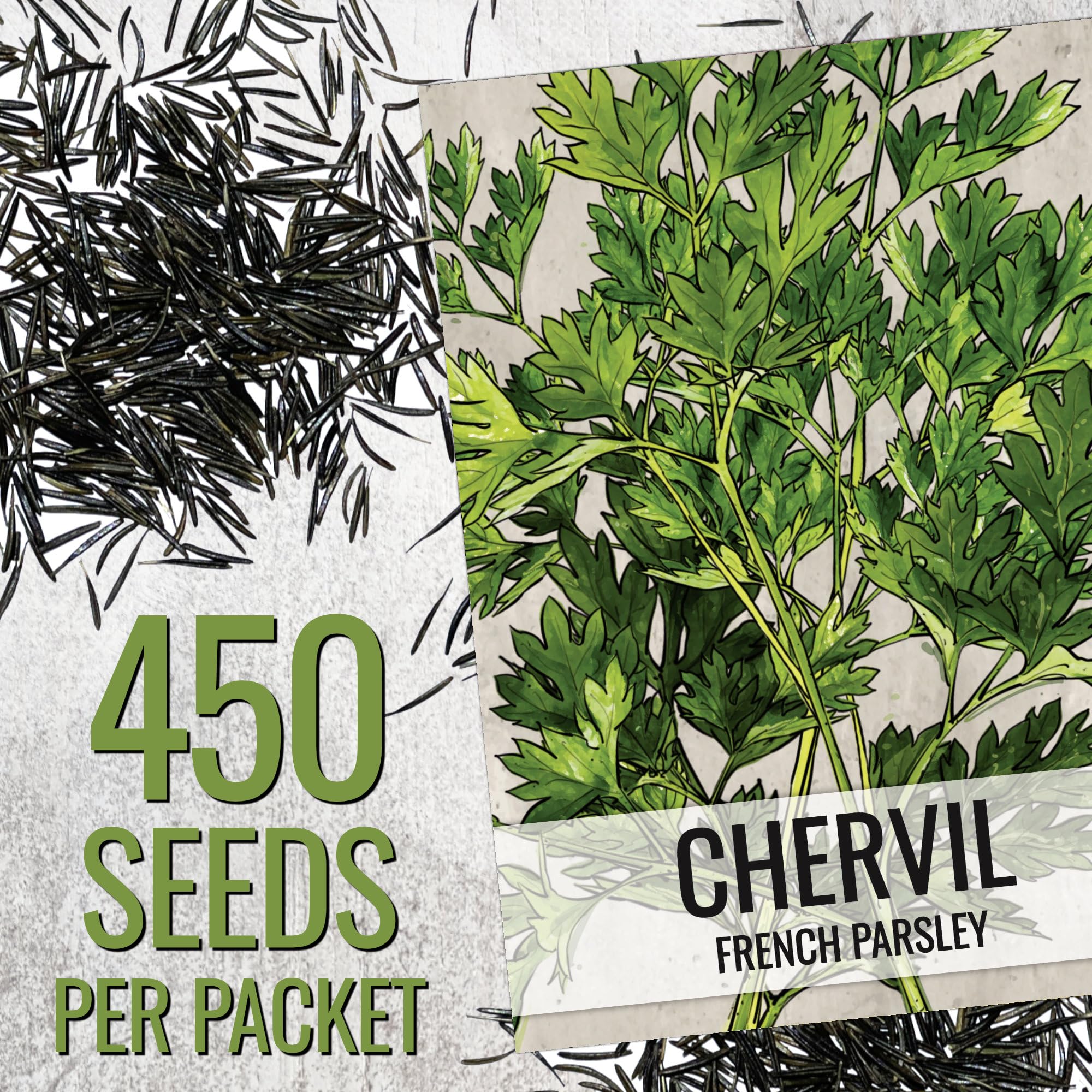 Seed Needs chervil packet sowing info provides spring or fall instructions
