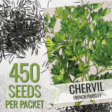 Seed Needs chervil packet sowing info provides spring or fall instructions