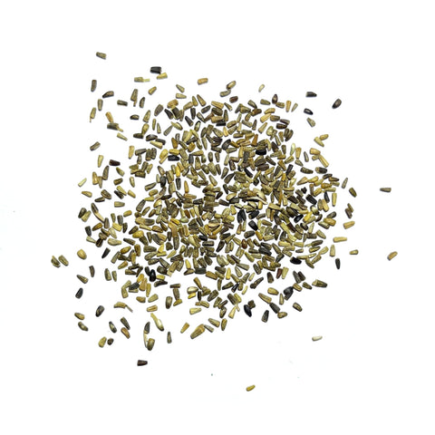 Seed Needs chicory seeds pollinator-friendly display invites bees and butterflies.
