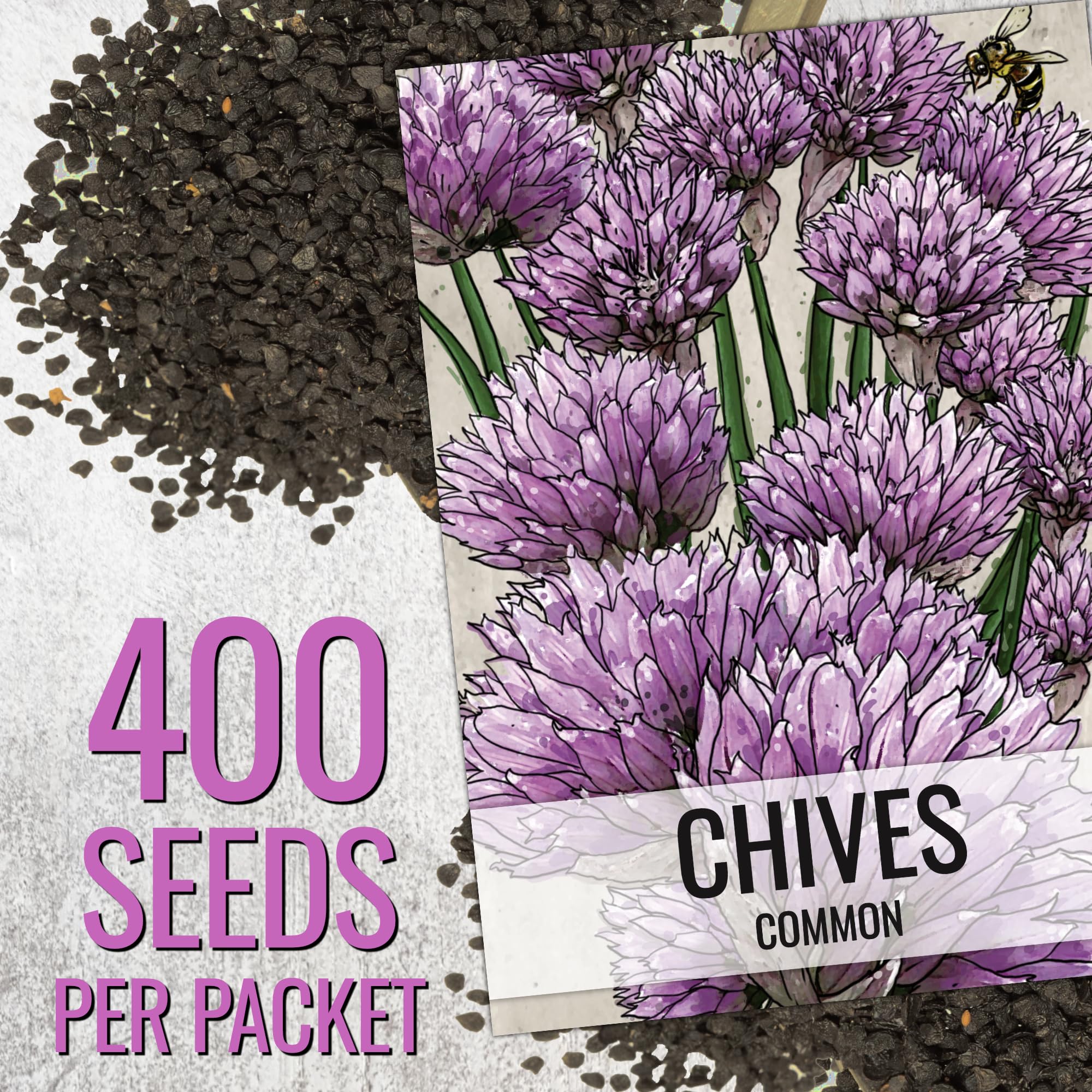 Seed Needs chive plant portrait highlights 18-inch maturing height and 12-inch spread.