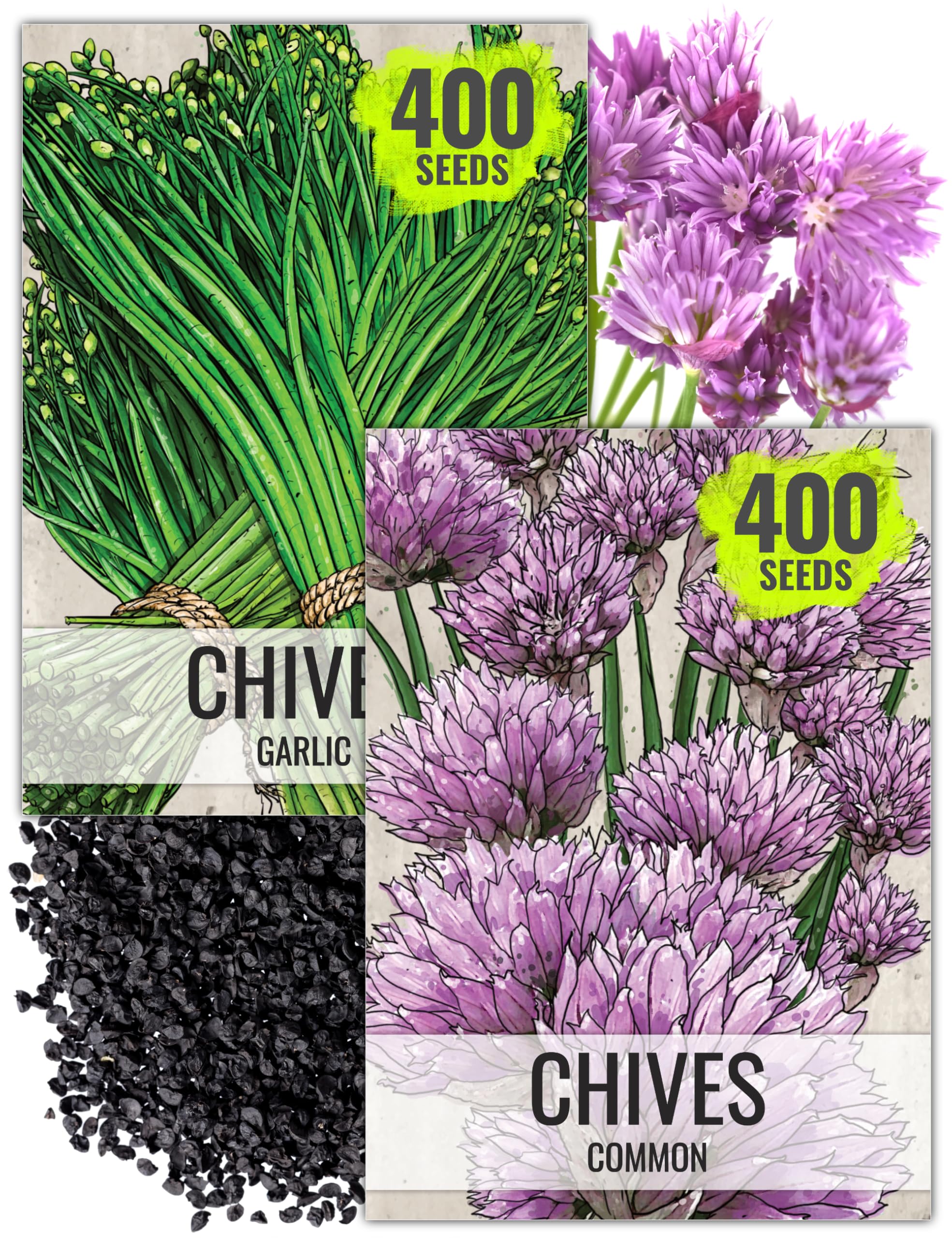 Seed Needs chive seeds packaging front with herb illustration for easy sowing.