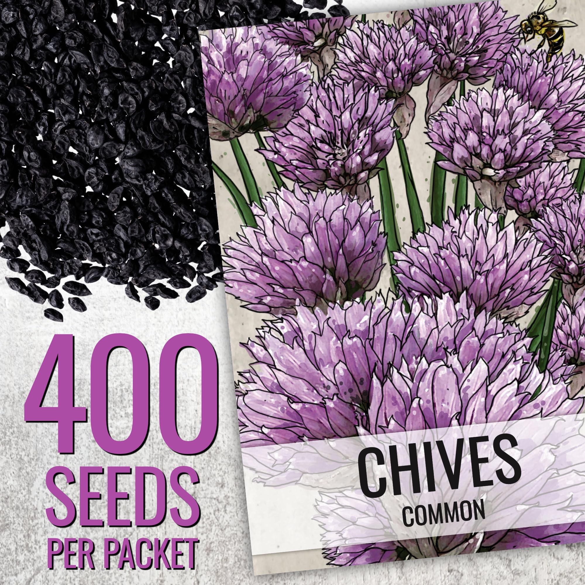 Seed Needs chive seeds planted in a pot.