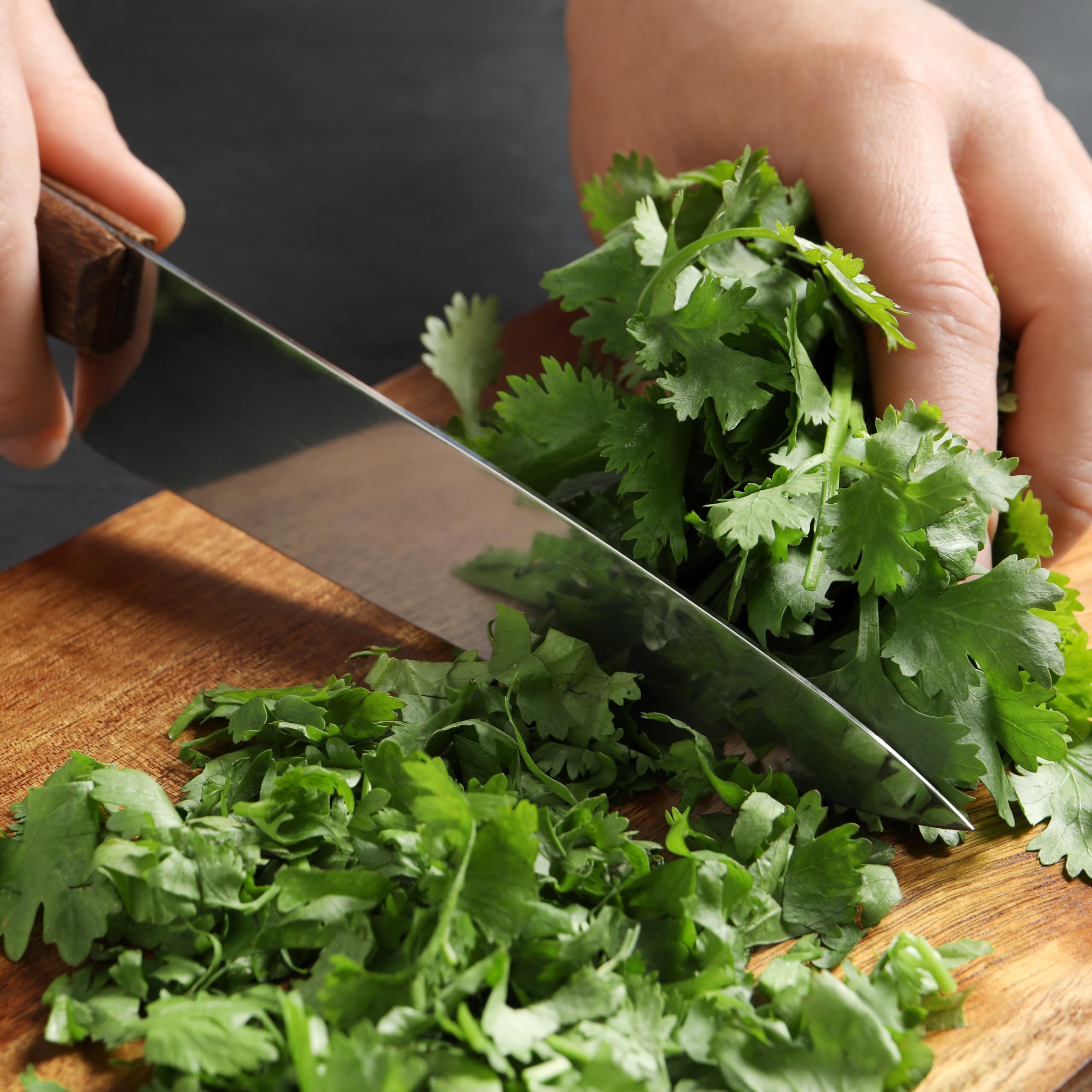 Seed Needs cilantro seeds in kitchen window herb setup for indoor growing