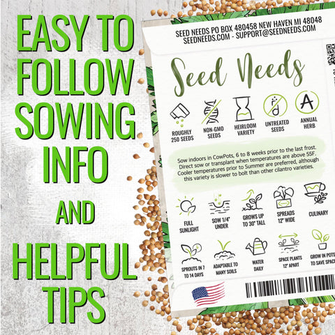 Seed Needs cilantro plants thriving in a garden under sun
