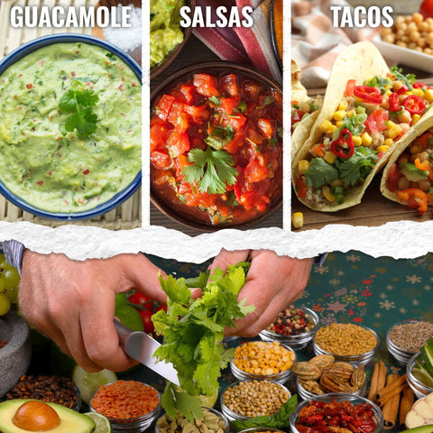 Seed Needs cilantro seeds pack back with sowing instructions and details