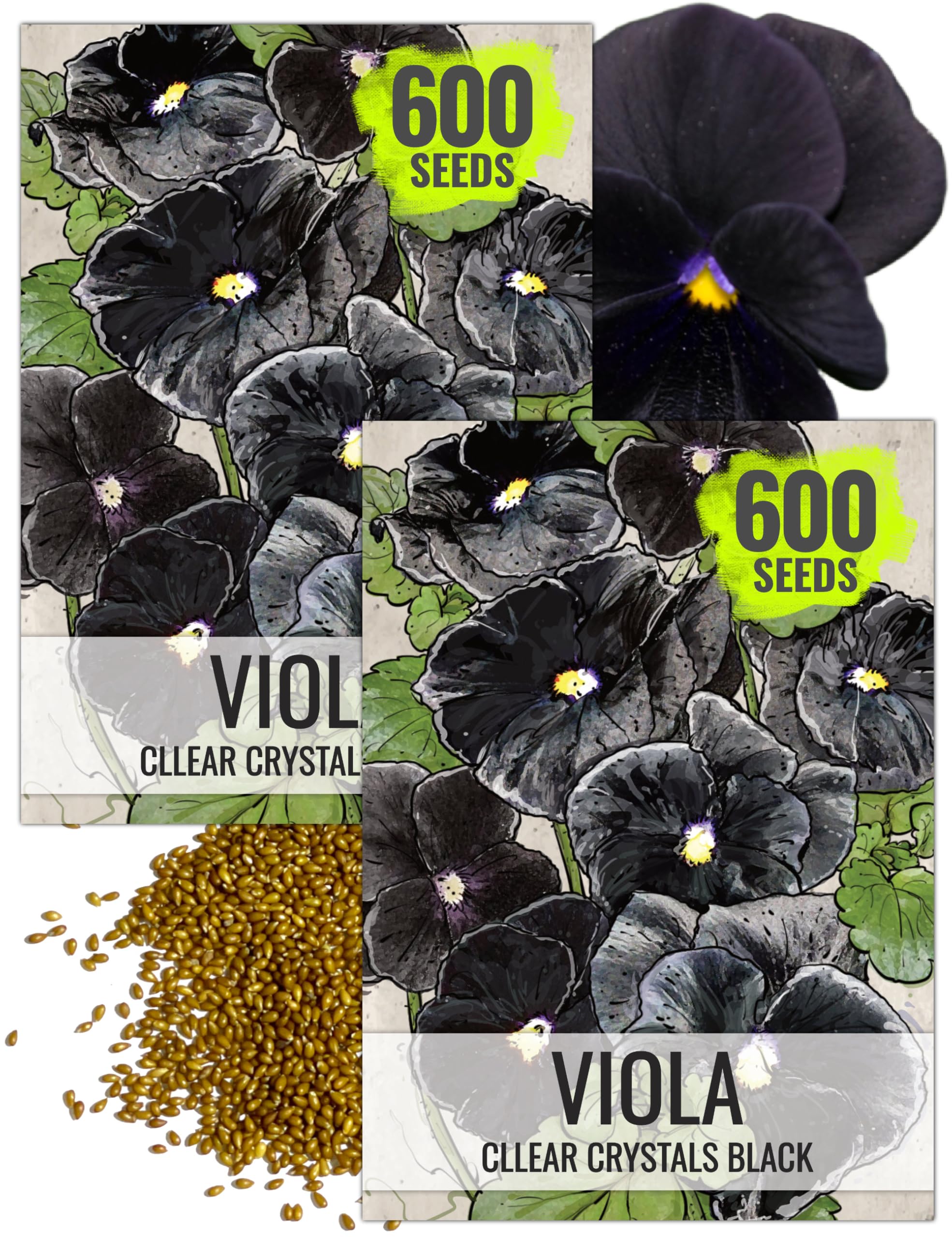 Seed Needs Clear Crystals Black Pansy bloom close-up highlights high-contrast, dramatic petals