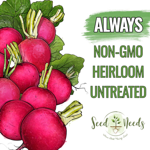 Seed Needs cold-weather radish guide helps early-season harvests in chilly soils.