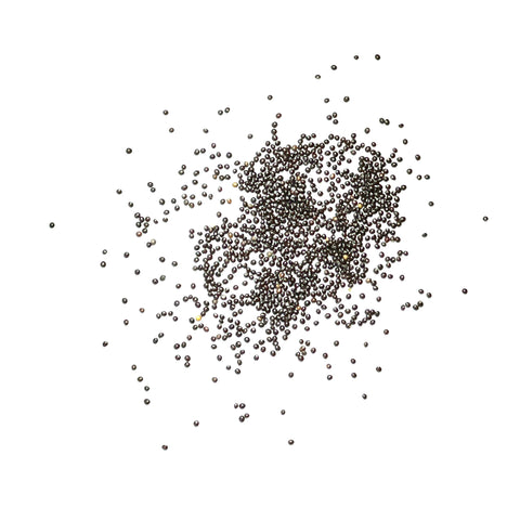 Germination-ready seeds from Seed Needs kept in moisture-resistant packaging.