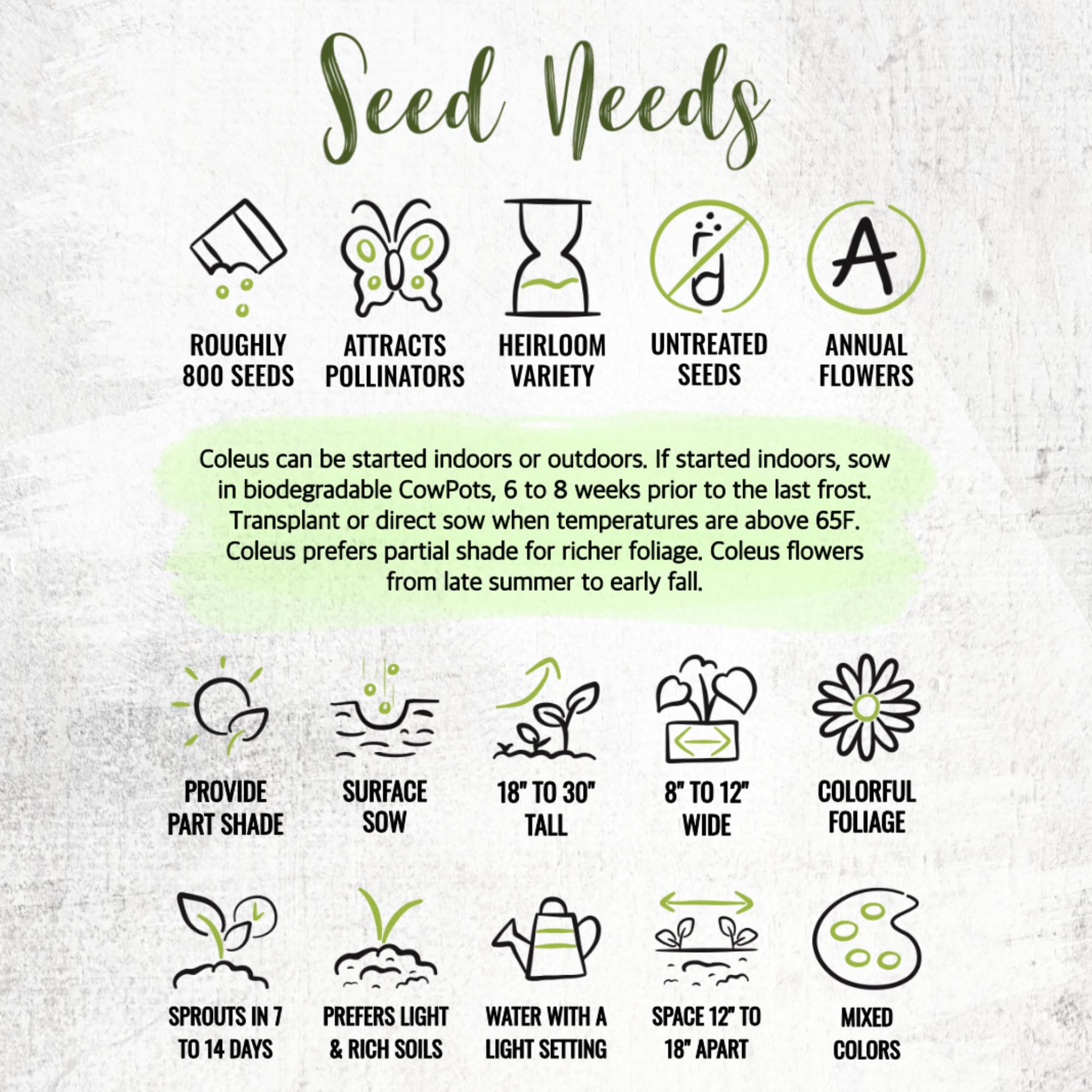 Seed Needs Coleus Seeds illustrated packets with sowing instructions.