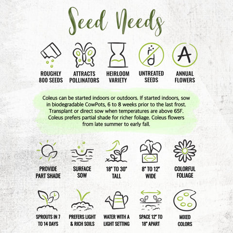 Seed Needs Coleus Seeds illustrated packets with sowing instructions.