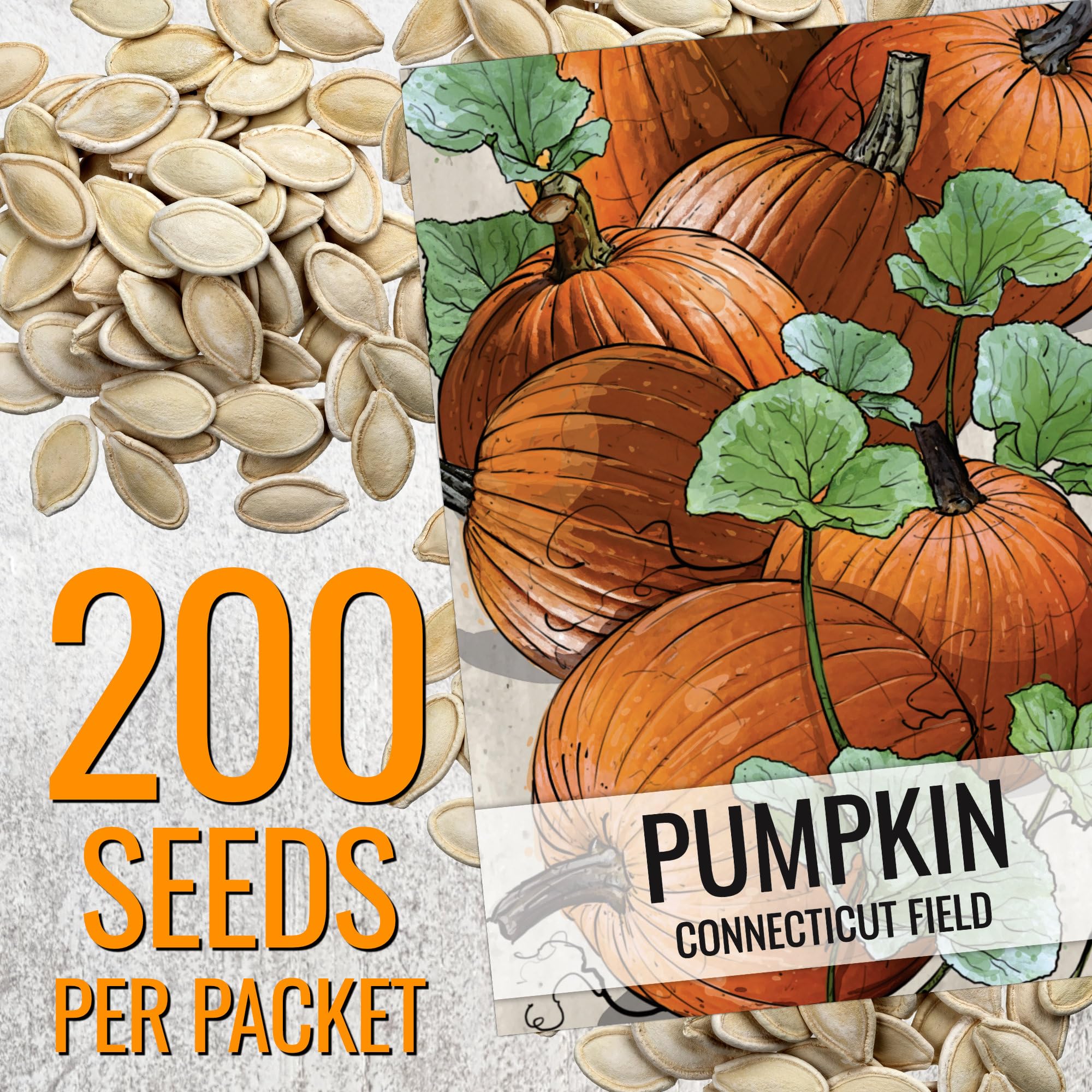 Seed Needs Connecticut Field planting setup—guide to sow seeds for a thriving harvest