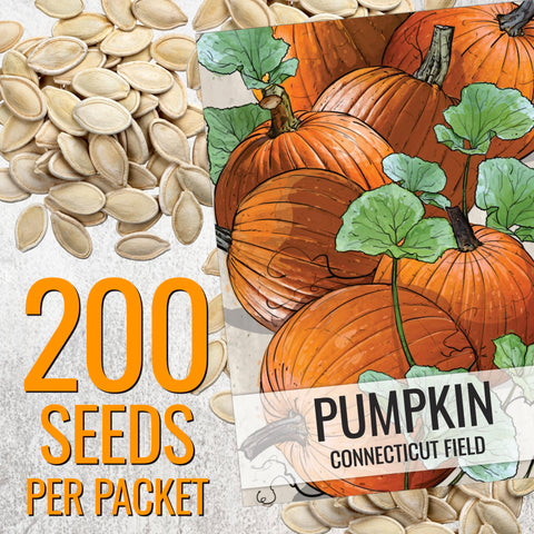 Seed Needs Connecticut Field planting setup—guide to sow seeds for a thriving harvest