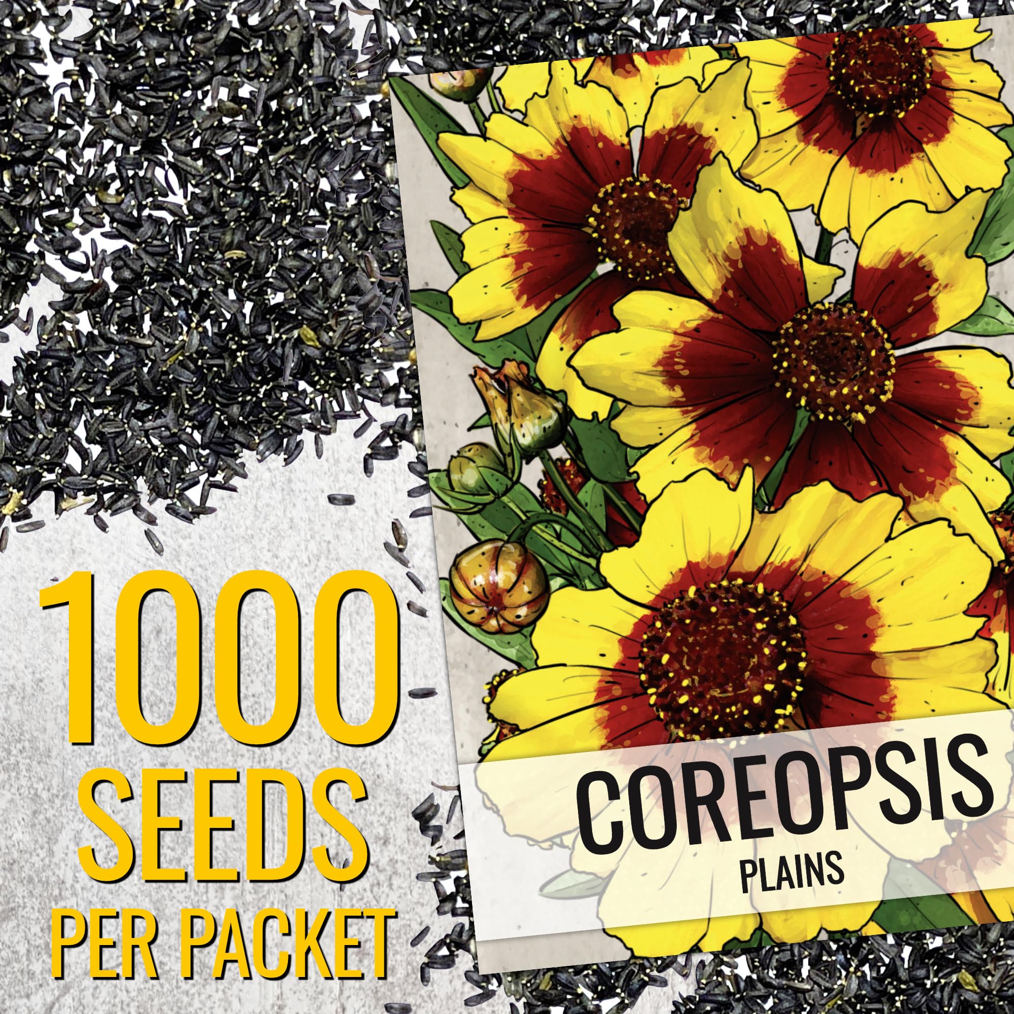 Seed Needs Coreopsis Plains flower daisy yellow for sunny borders