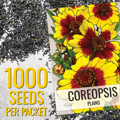 Seed Needs Coreopsis Plains flower daisy yellow for sunny borders