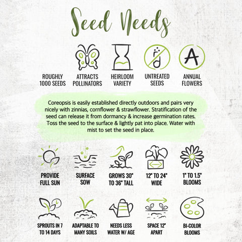 Seed Needs Coreopsis Plains growing-plant demonstrates sun-loving blooms