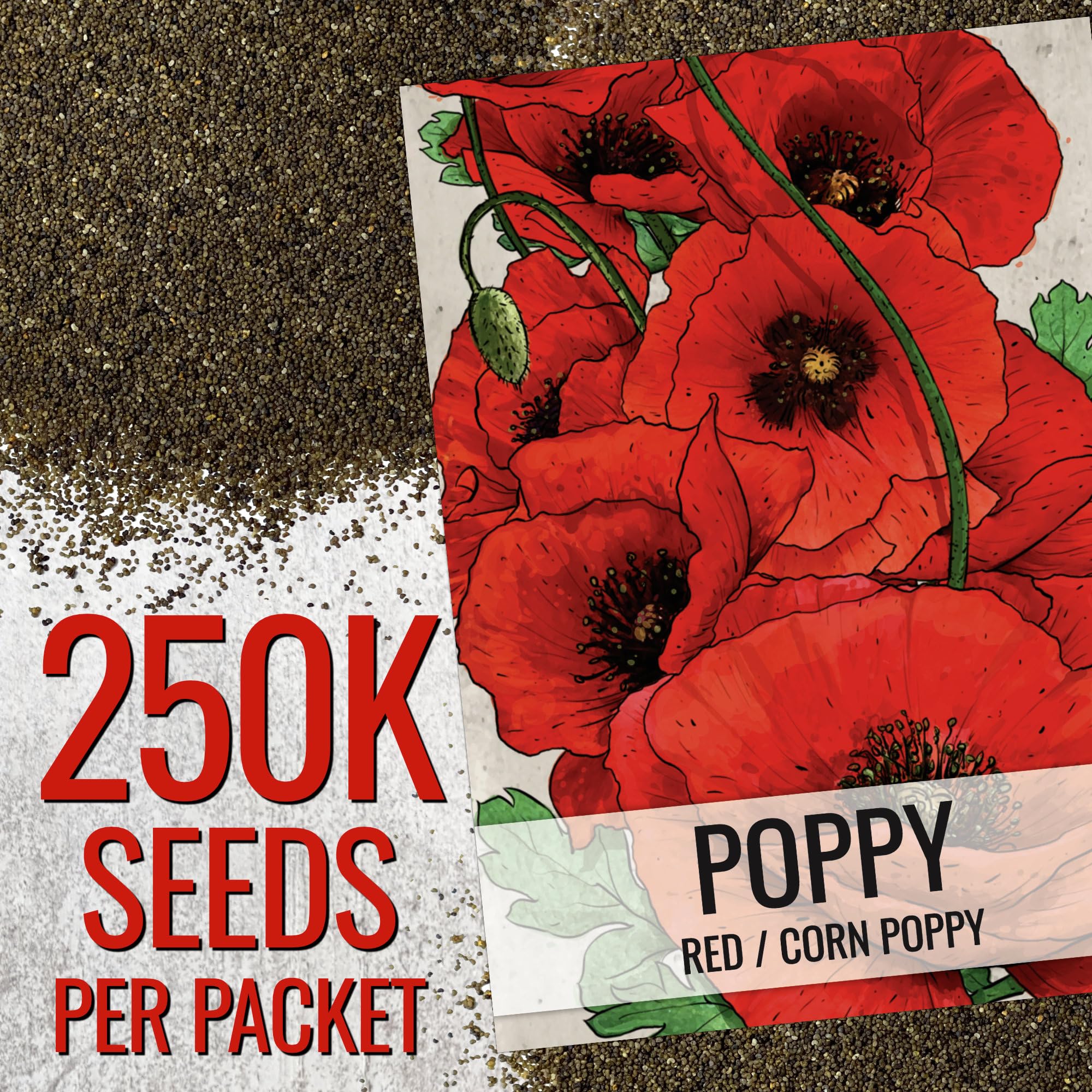 Seed Needs corn poppy seeds garden planting illustration demonstrates easy sowing for beginners