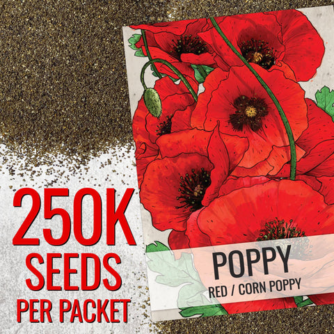 Seed Needs corn poppy seeds garden planting illustration demonstrates easy sowing for beginners