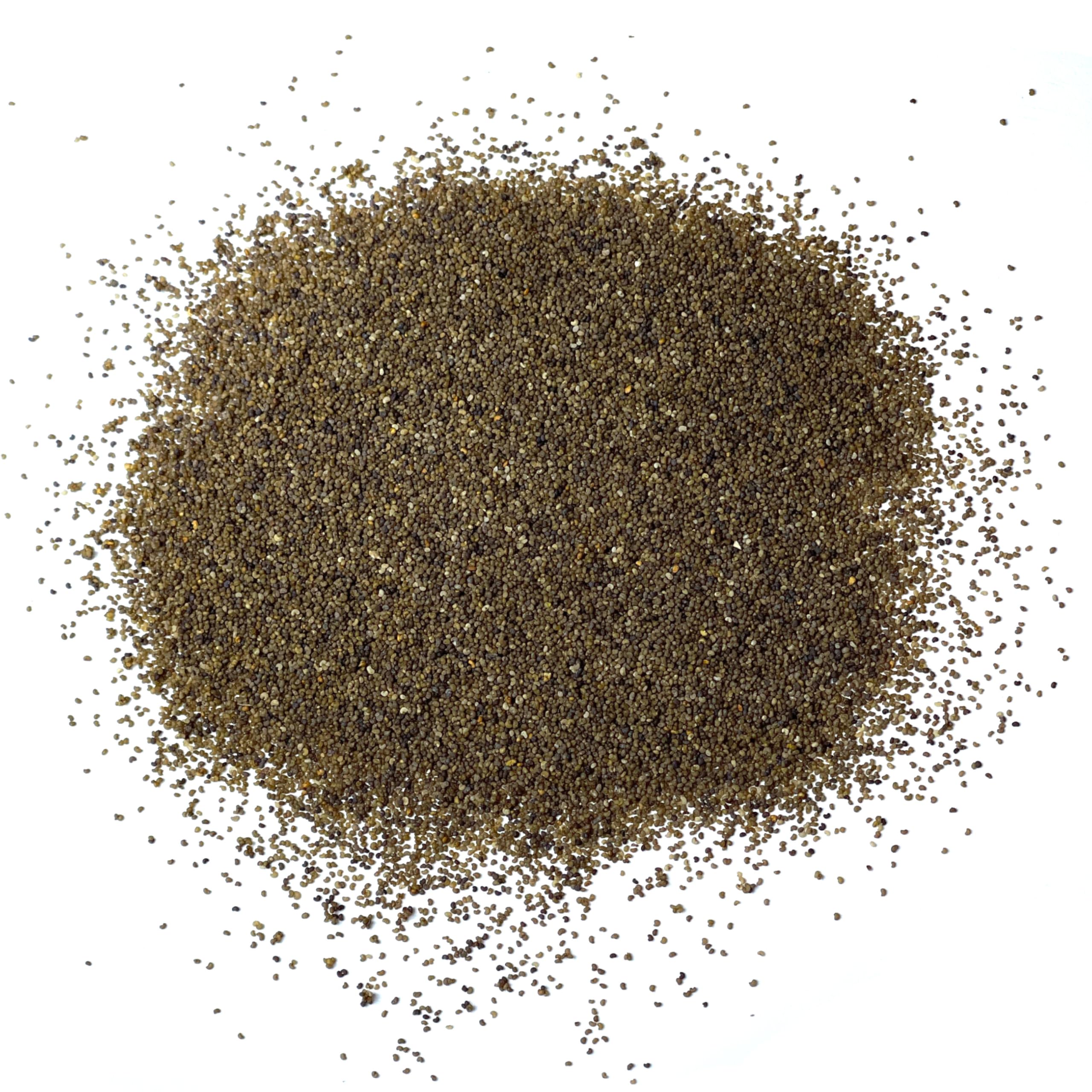 Seed Needs corn poppy seeds self-seeding garden beauty year after year
