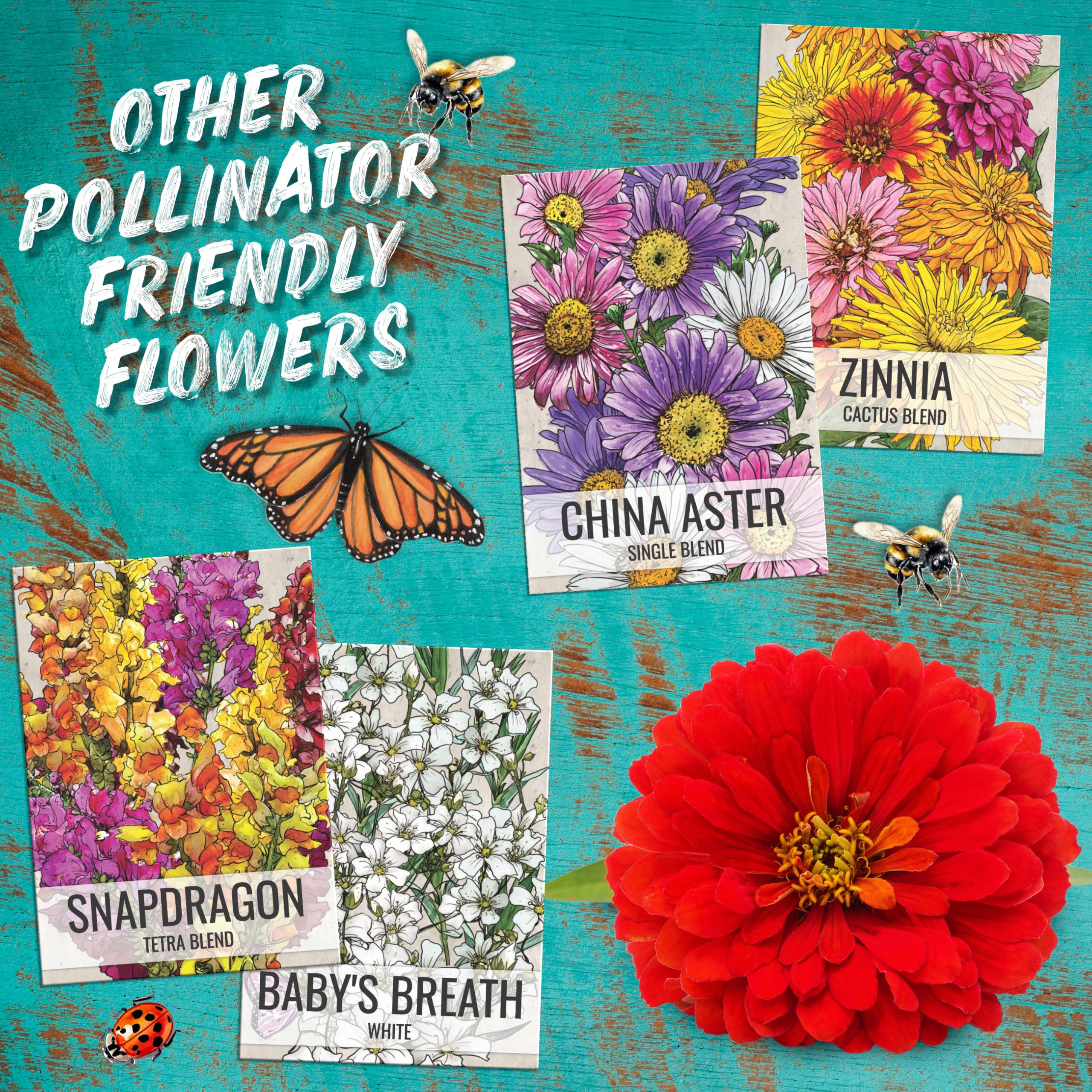 Seed Needs Cosmos Crazy Blend bulk mix supports sharing with friends