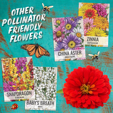Seed Needs Cosmos Crazy Blend bulk mix supports sharing with friends