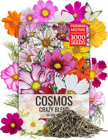 Seed Needs Cosmos Crazy Blend seed packet front showing open-pollinated varieties for vibrant color