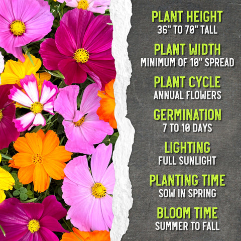 Seed Needs Cosmos Crazy Blend resealable packaging keeps seeds fresh