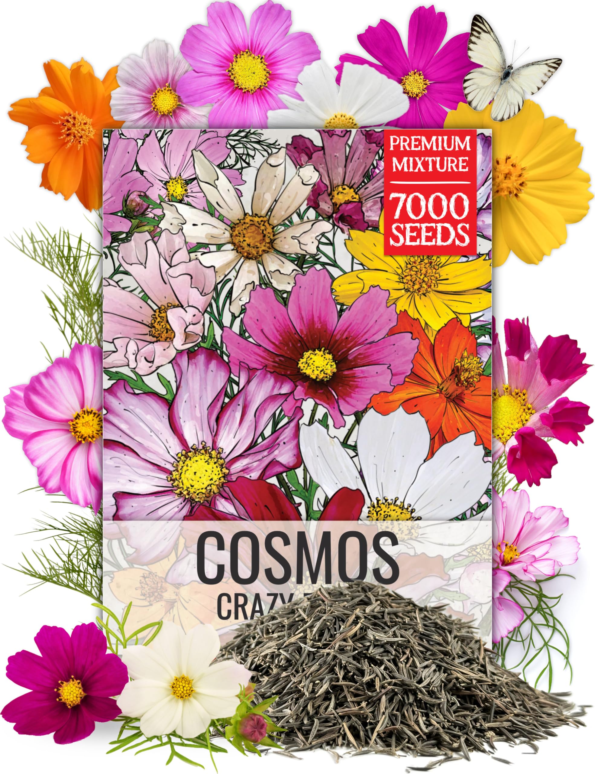 Seed Needs Cosmos Crazy Blend seashells seeds brighten sunny borders for pollinators.