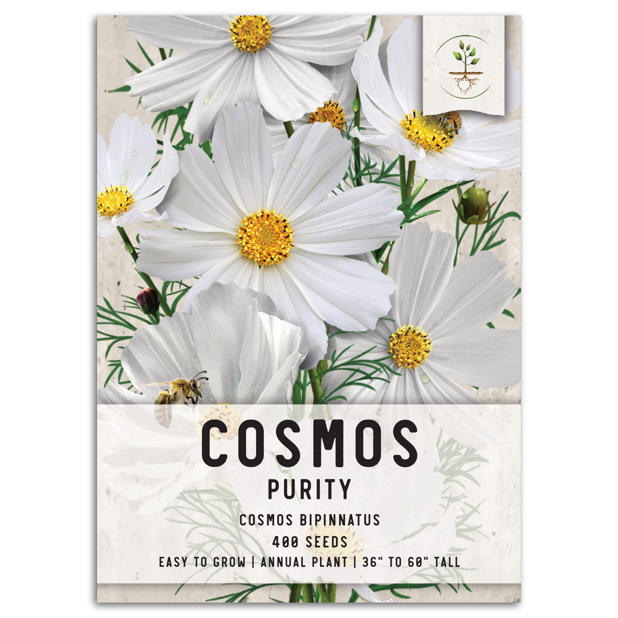 Seed Needs Cosmos purity white bloom—pollinator-friendly garden focal point.