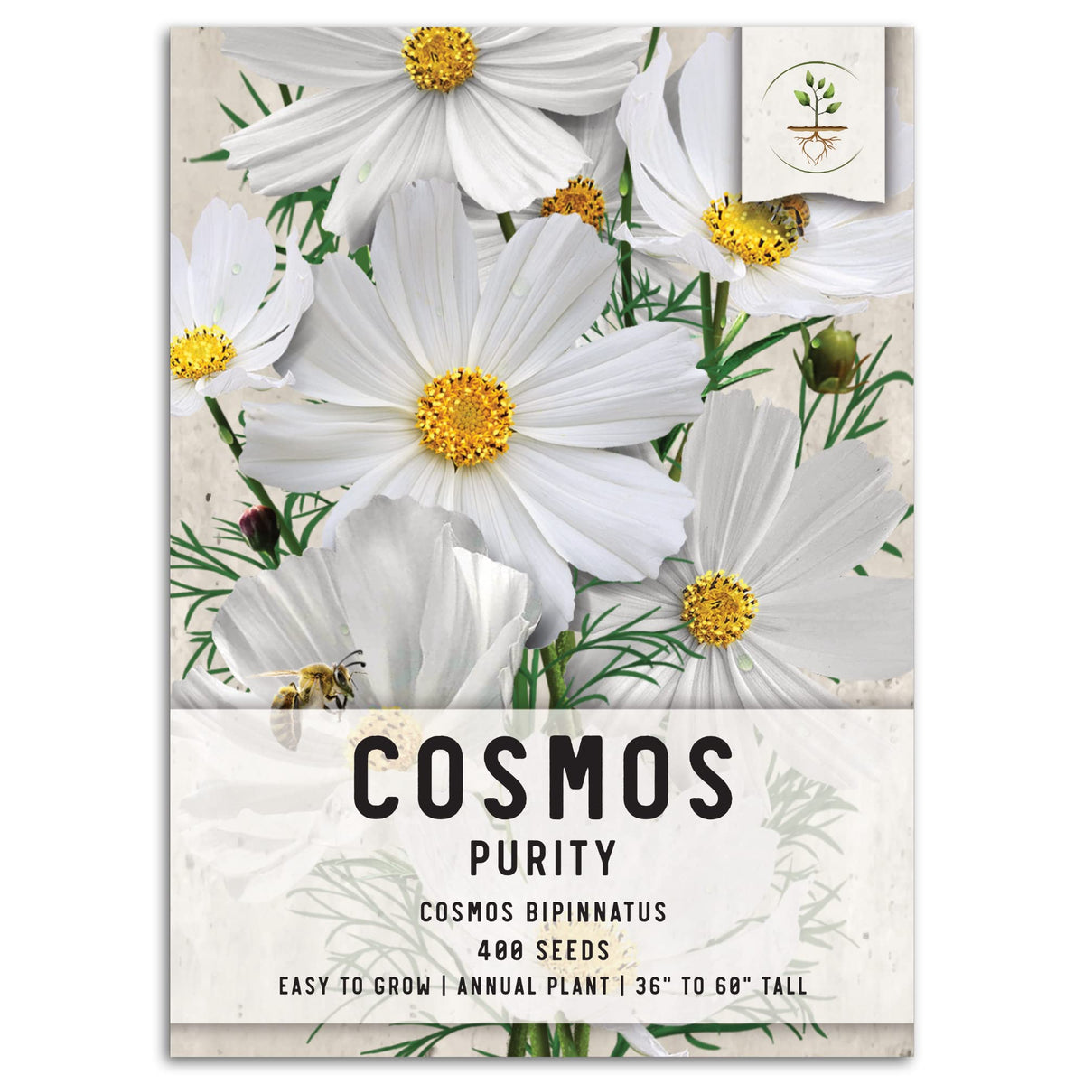 Seed Needs Cosmos purity white bloom—pollinator-friendly garden focal point.