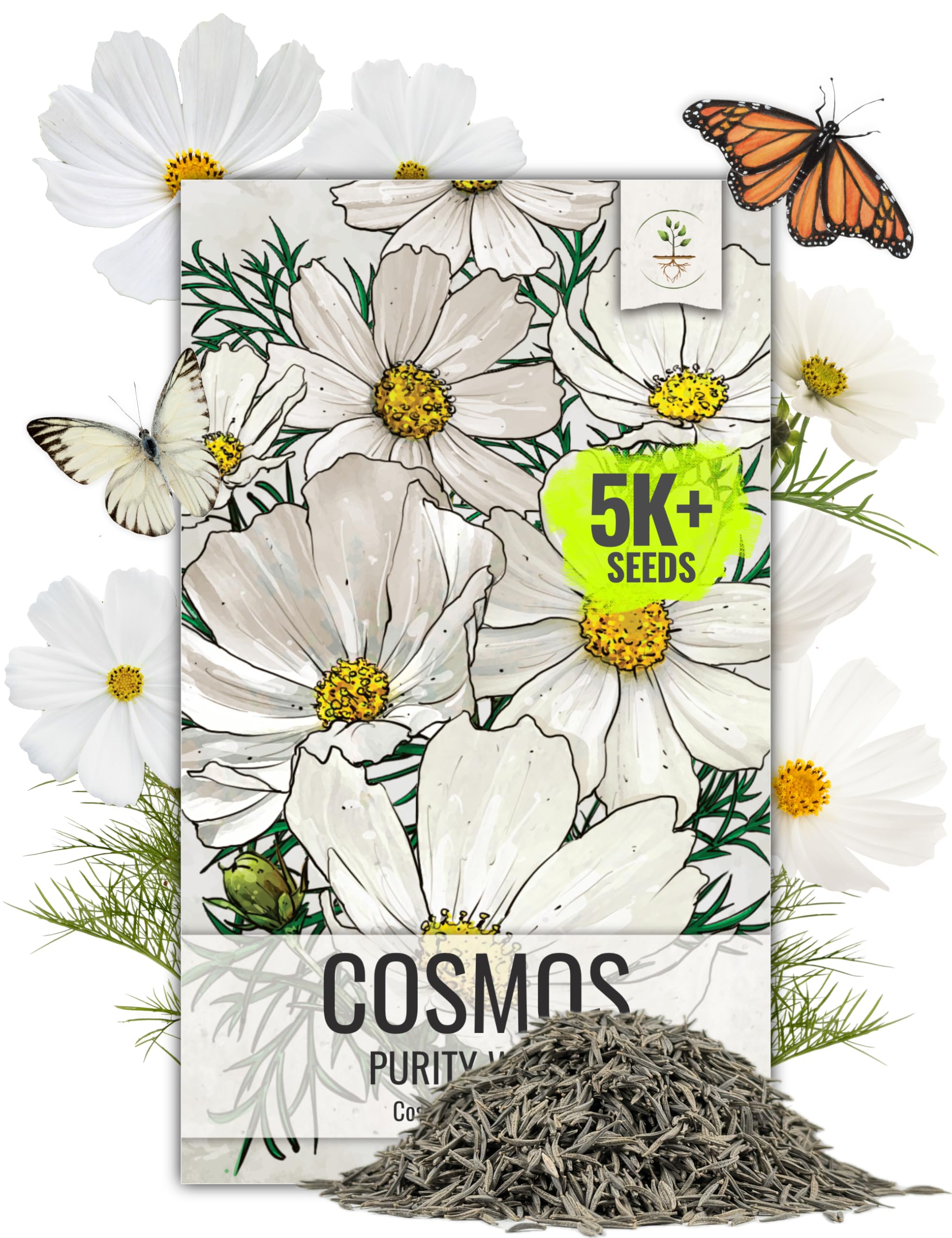Seed Needs Cosmos White Purity bloom with pure white petals and golden center in a sunny bed