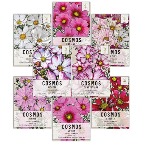 Seed Needs cosmos wildflowers collection showcases eight colorful varieties for a vibrant butterfly garden.