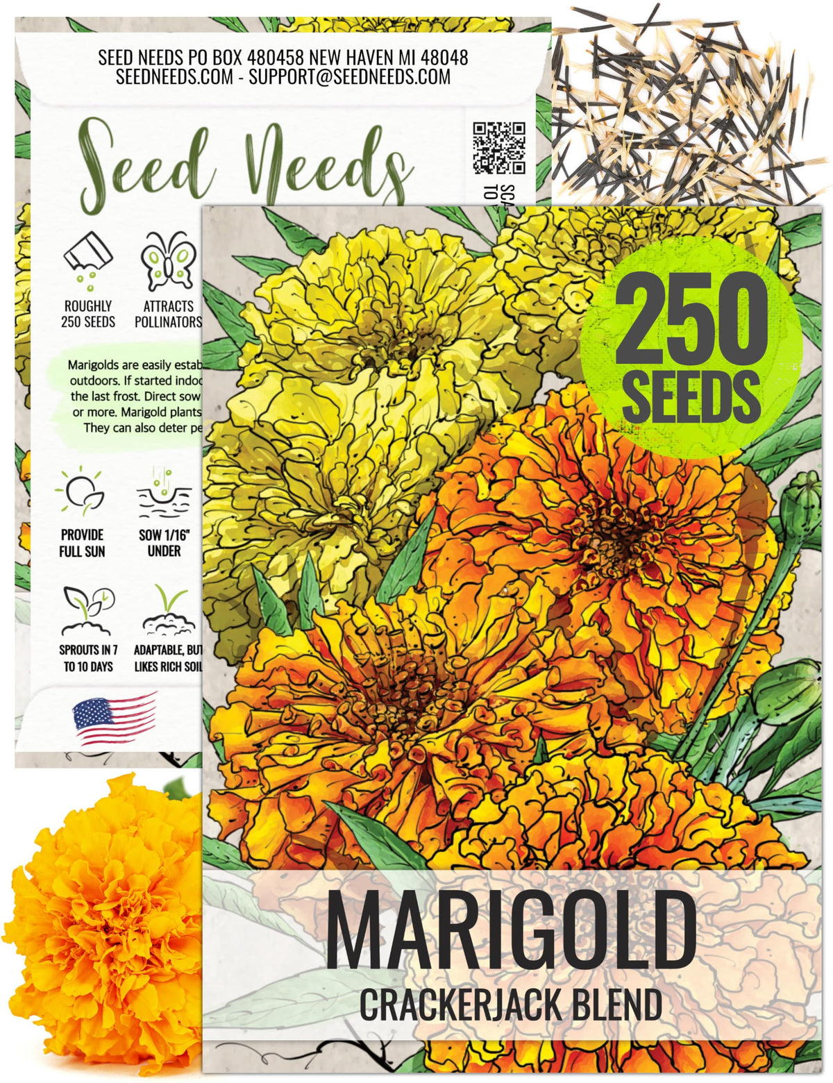 Seed Needs Crackerjack marigold shows tall height and bold blooms for borders.