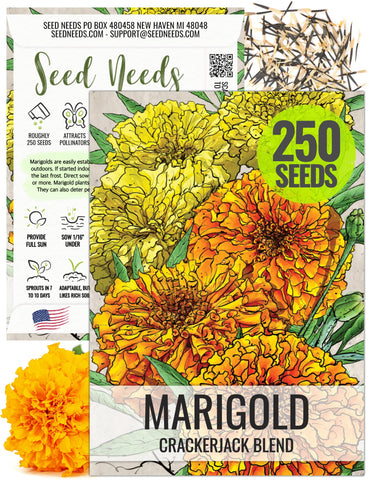 Seed Needs Crackerjack marigold shows tall height and bold blooms for borders.