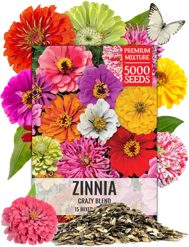 Seed Needs Crazy Zinnia Seed Mix collection with vibrant colors for borders and bouquets
