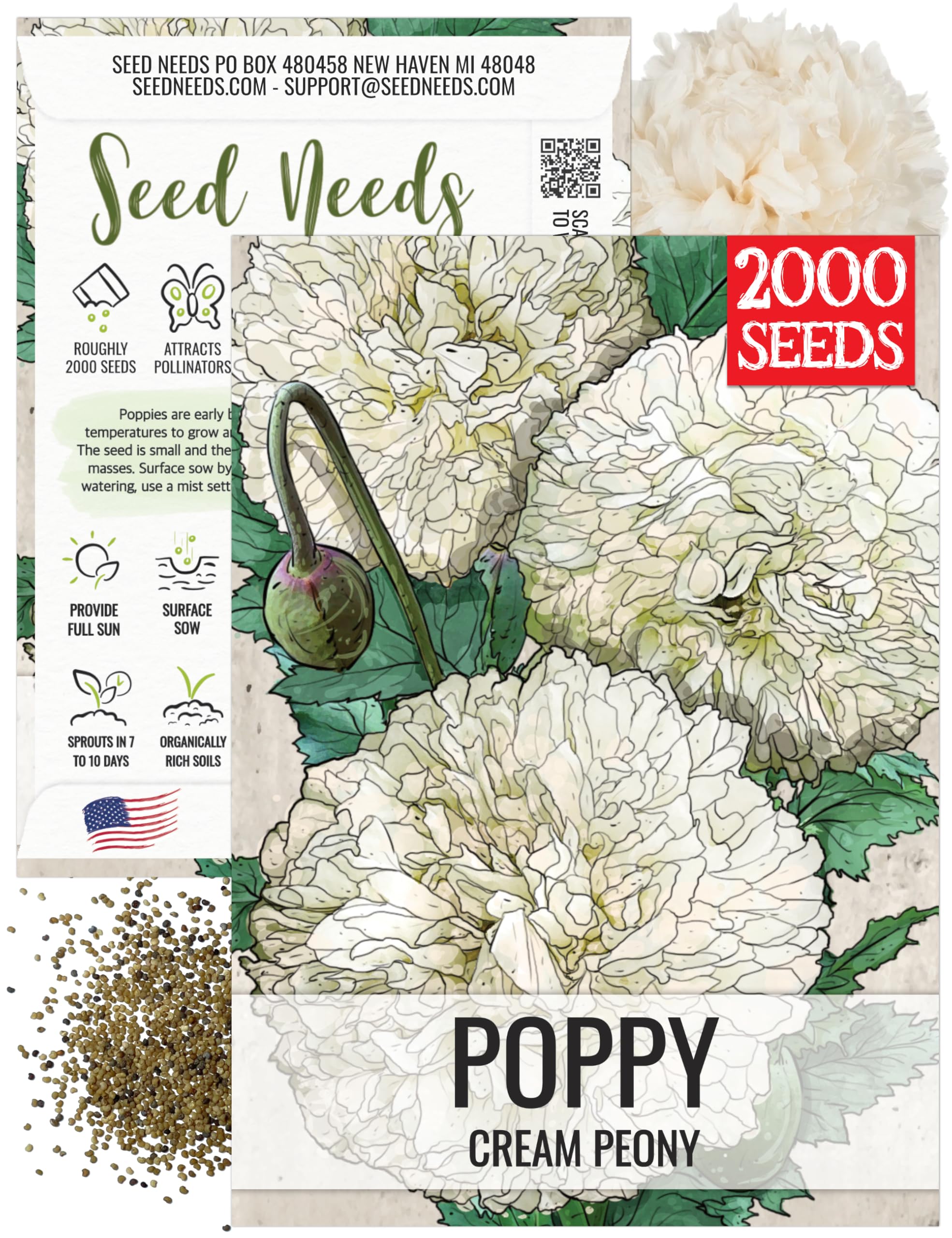 Seed Needs creamy-white peony poppies bloom, ideal for elegant borders and butterfly gardens.