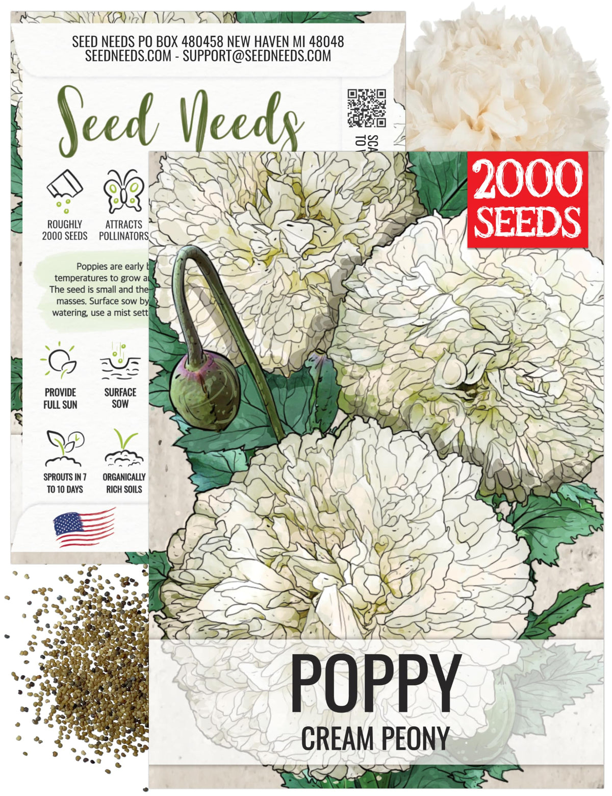 Seed Needs creamy-white peony poppies bloom, ideal for elegant borders and butterfly gardens.