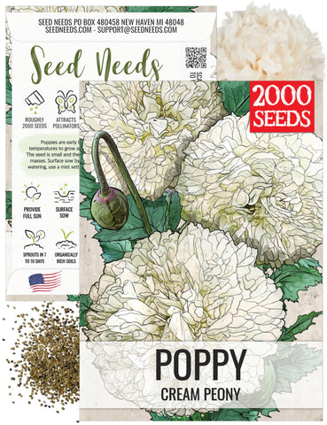 Seed Needs creamy-white peony poppies bloom, ideal for elegant borders and butterfly gardens.