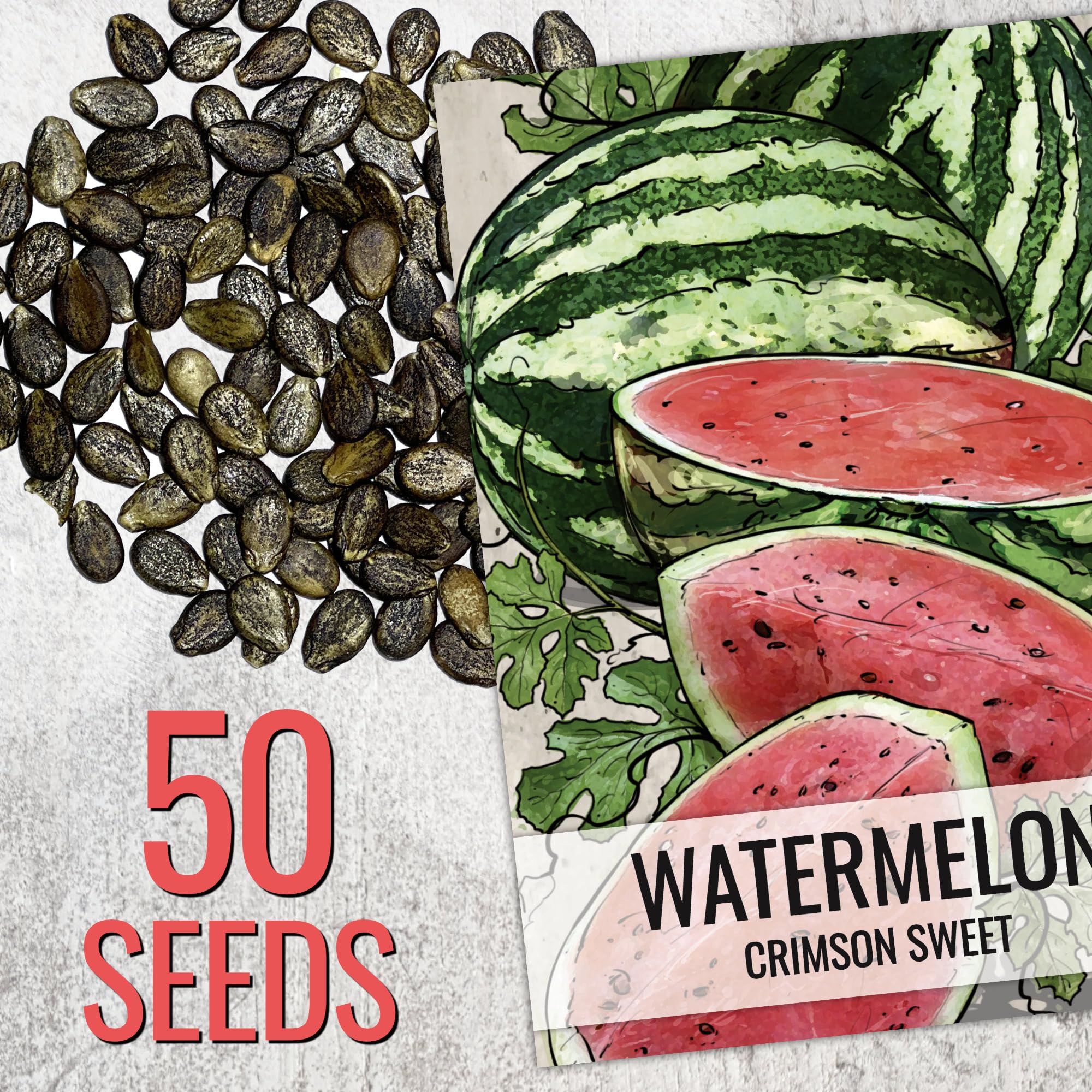 Seed Needs Crimson Sweet seeds close-up highlighting germination potential