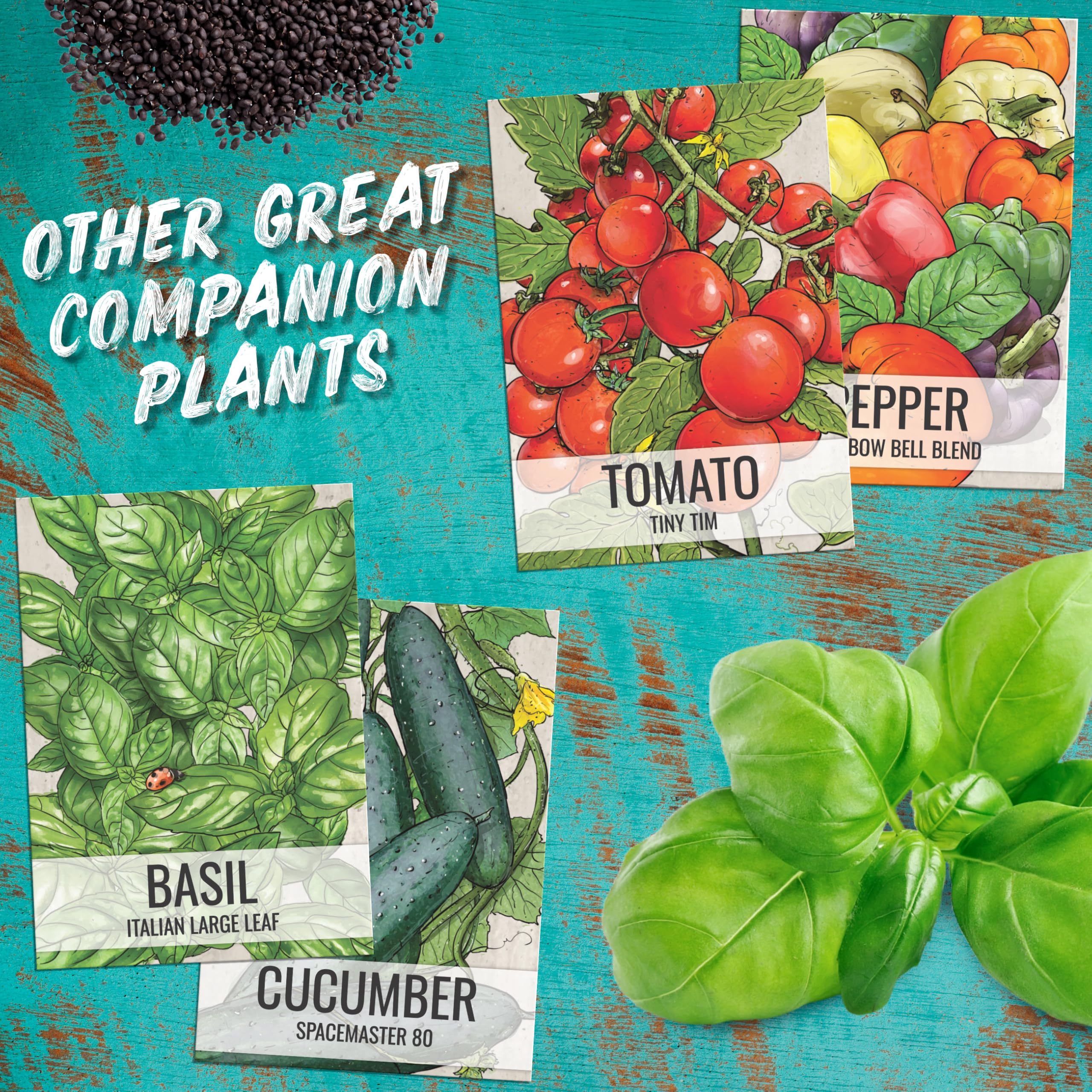 Seed Needs Cucamelon non-GMO heirloom seeds for reliable season-to-season planting