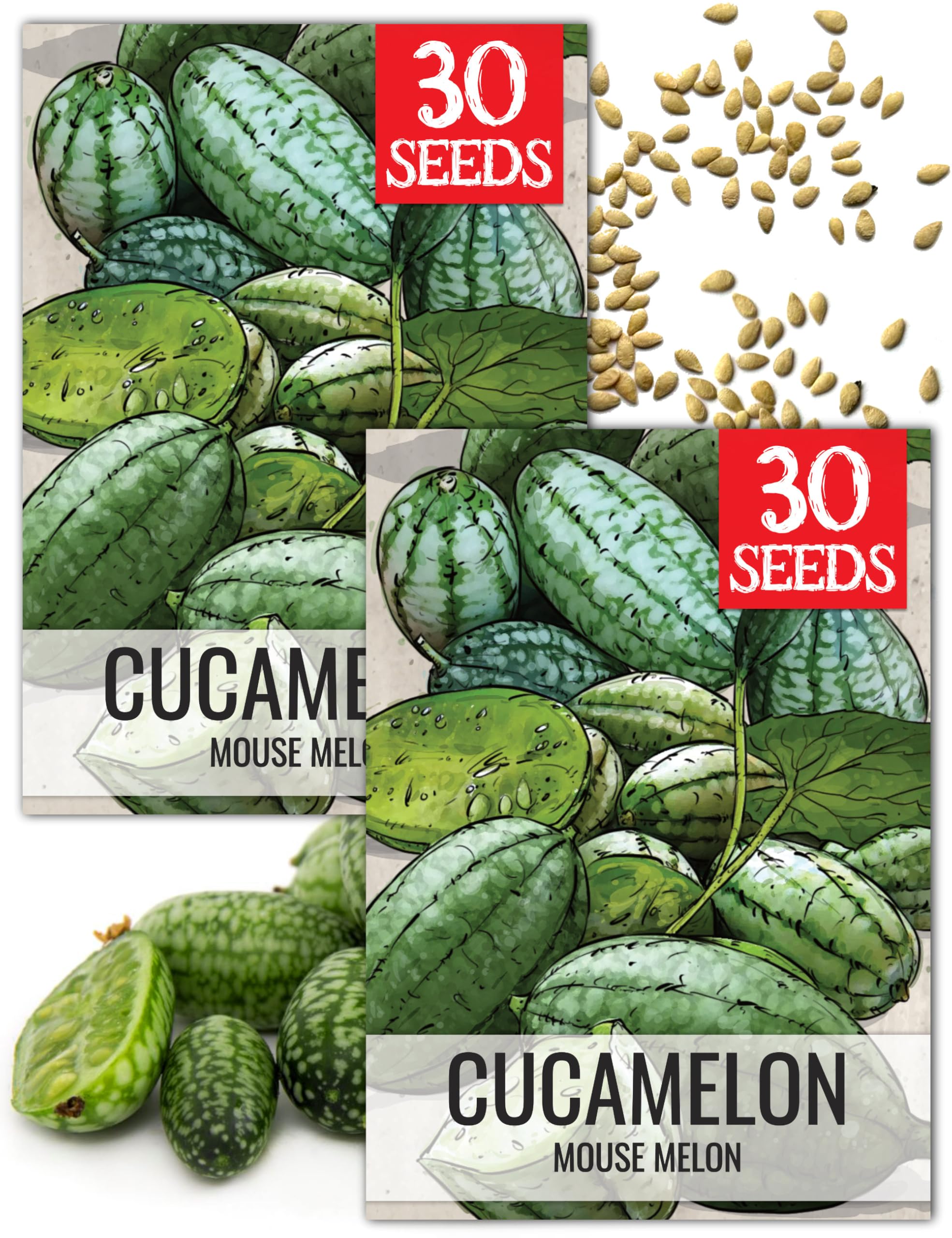 Seed Needs Cucamelon seed packet front for planning a home garden