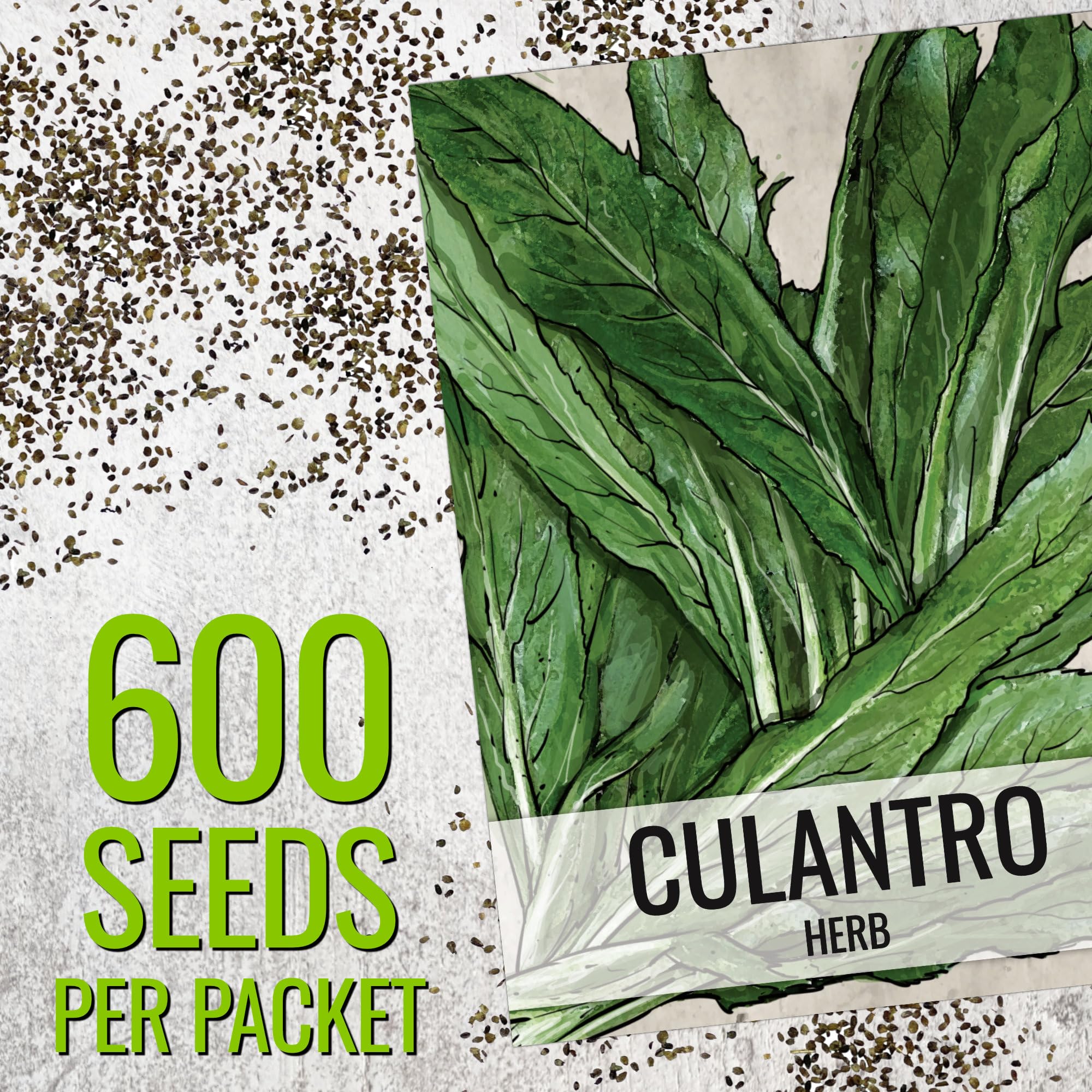 Seed Needs Culantro seed packet artwork highlighting heirloom quality