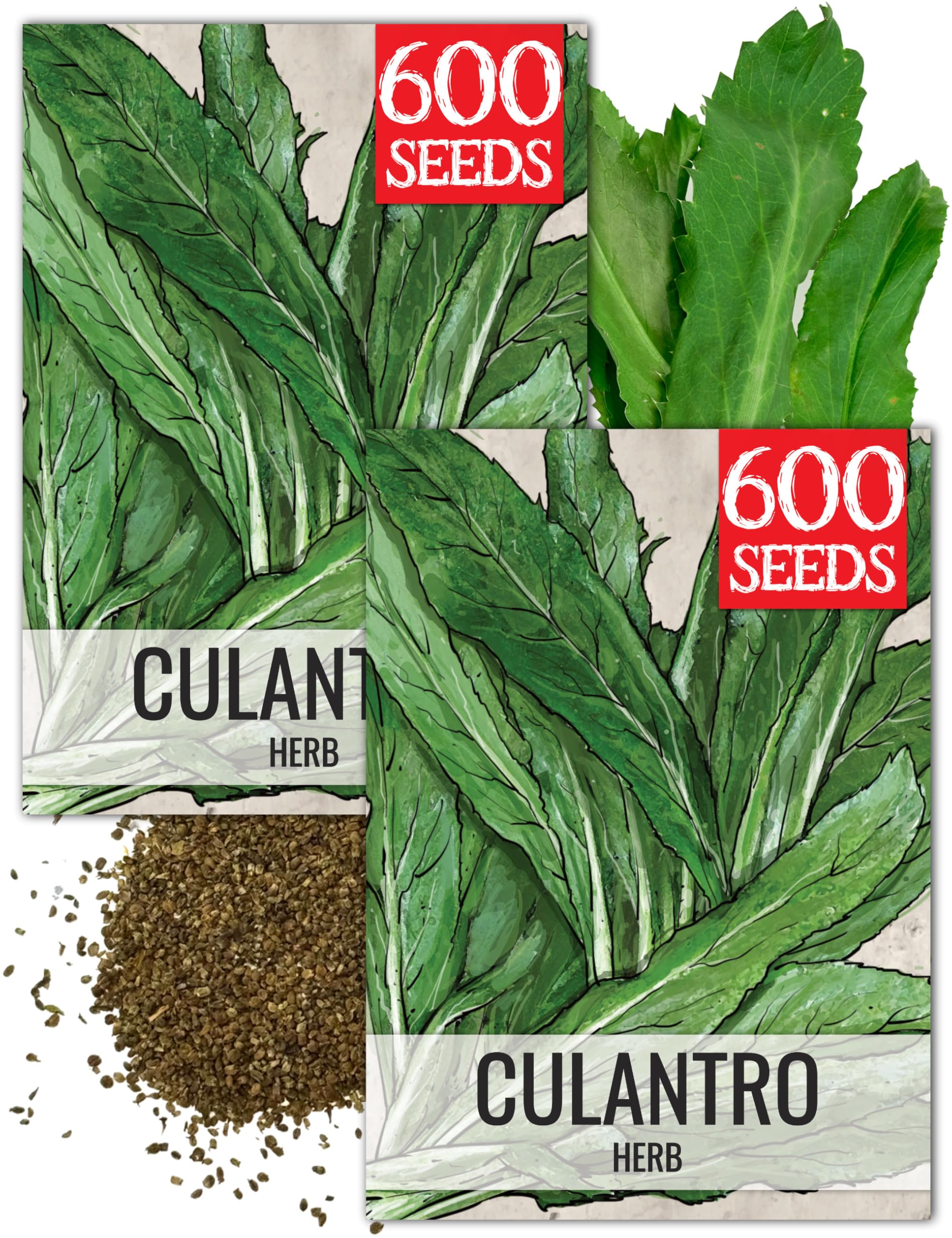 Seed Needs Culantro seeds packet front shows brand and planting inspiration