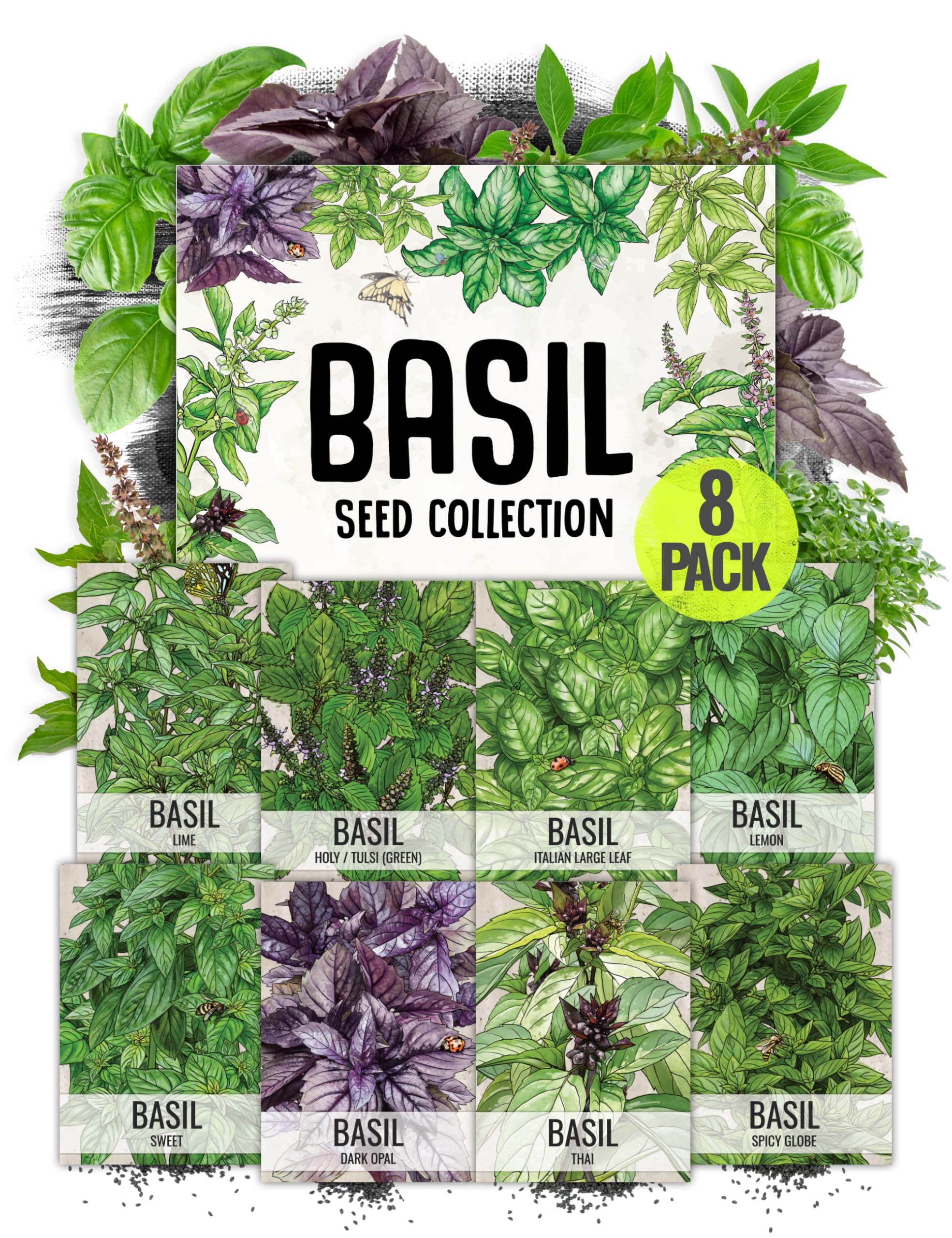 Seed Needs culinary basil collection packet front with illustrated varieties for easy selection.
