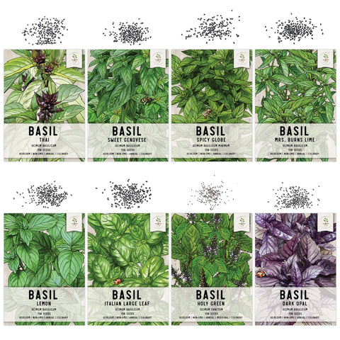 Seed Needs culinary basil collection varieties chart shows eight distinct seeds for planning.