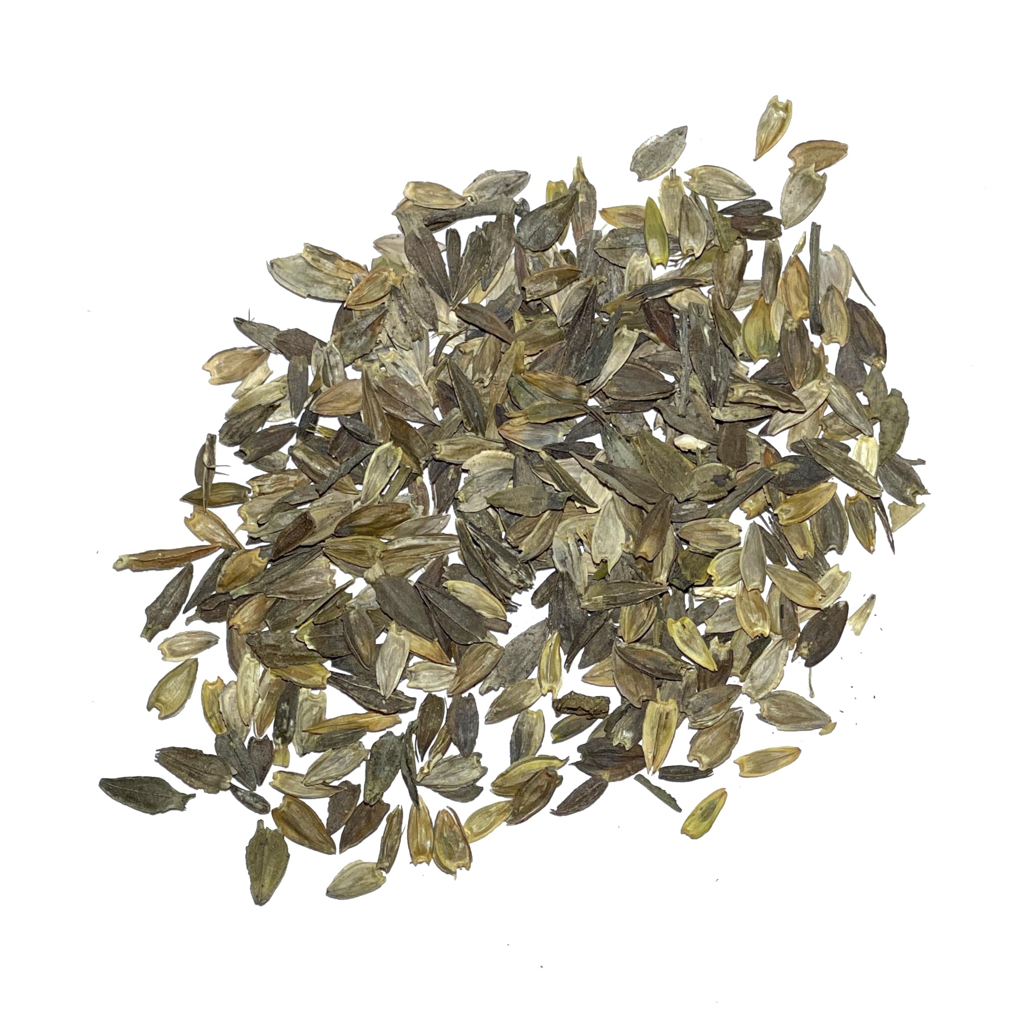 Seed Needs cut flowers zinnia stems suited for vases and bouquets.