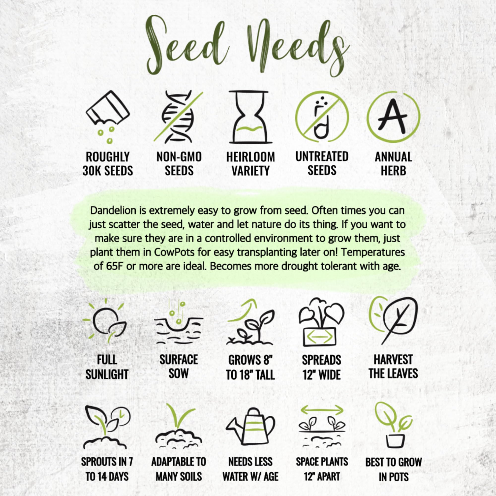 Seed Needs dandelion seeds germinating within days for fresh harvest