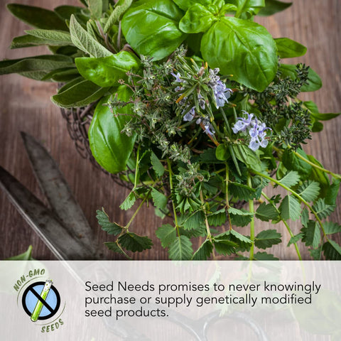 Seed Needs open-pollinated heirloom note emphasizes diverse seed heritage