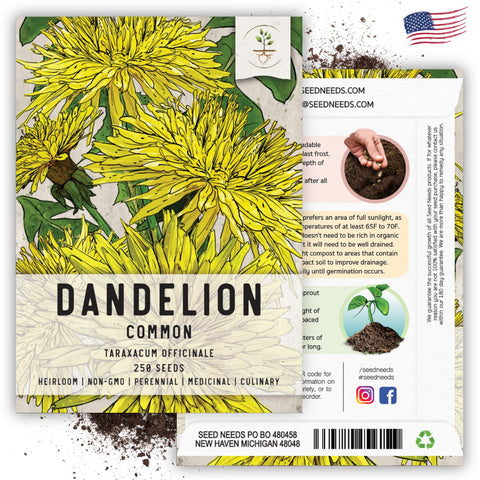 Seed Needs dandelion roots in tea illustration suggesting herbal use