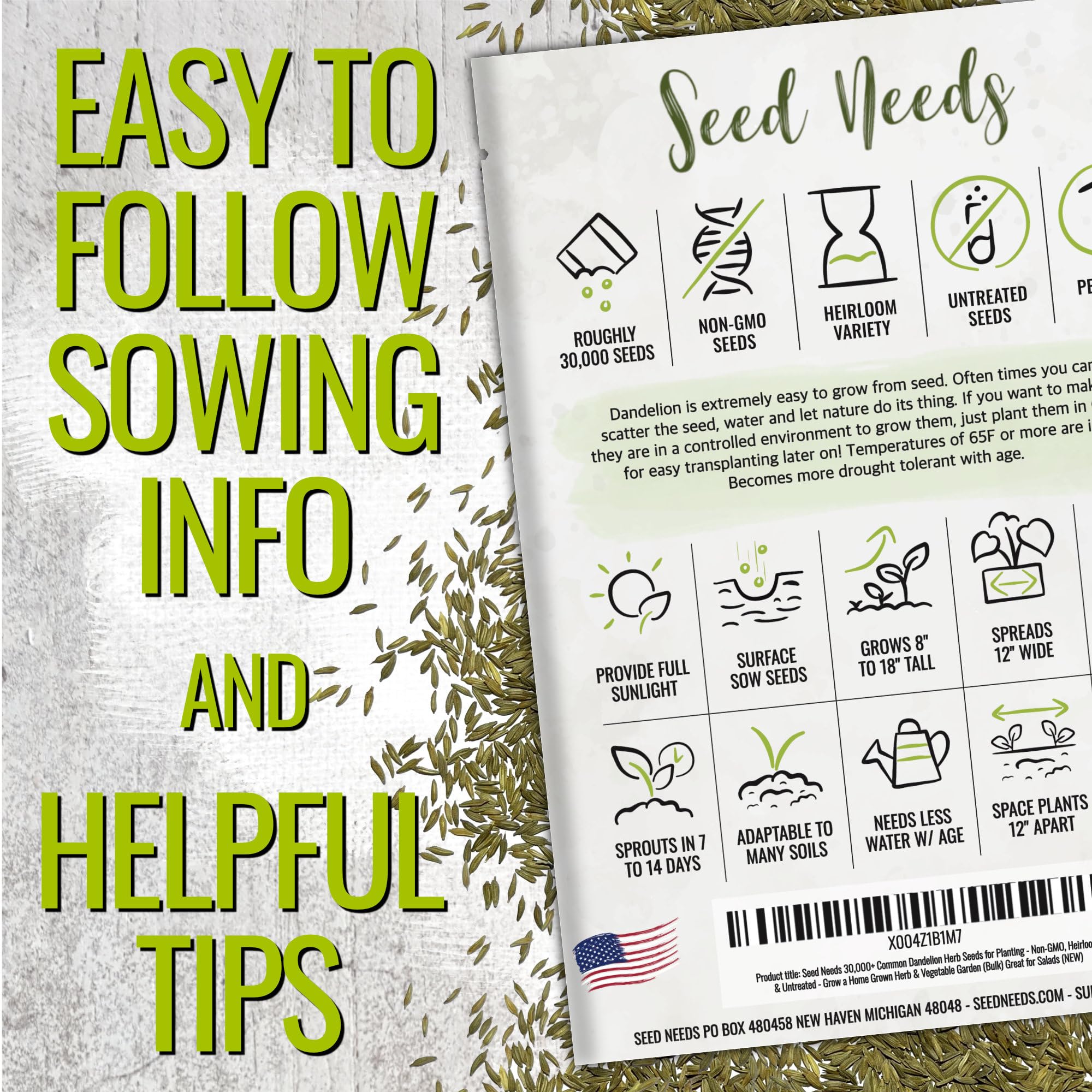 Seed Needs dandelion roots and leaves ready for harvest in the kitchen garden